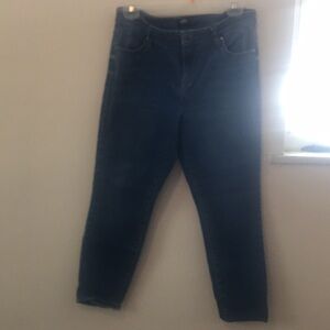 Buffalo David Bitton Avalon jeans size 12